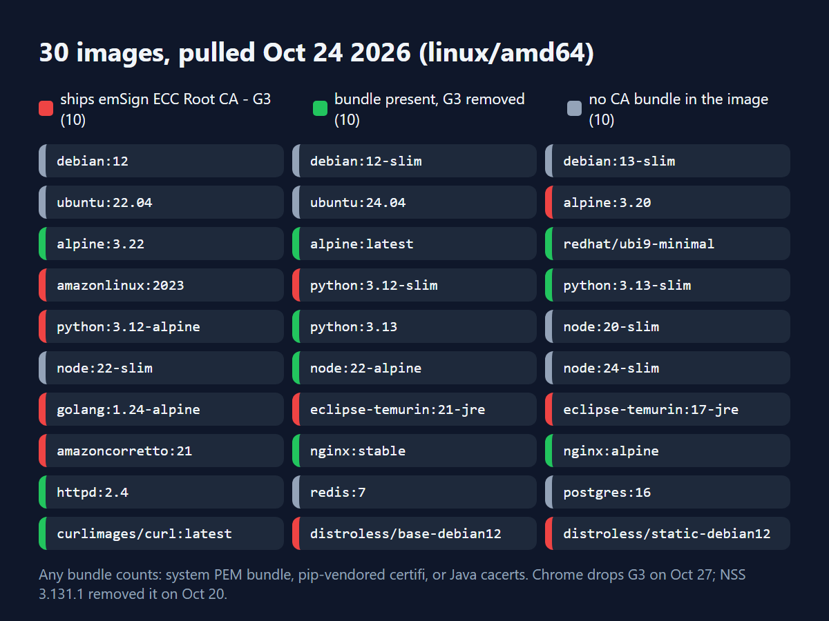 Grid 30 image Docker: 10 masih membawa emSign ECC Root CA - G3, 10 punya bundle dengan G3 sudah dihapus, 10 tidak punya bundle CA.