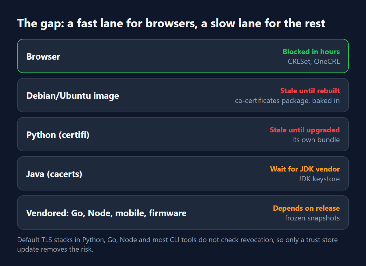Trust store map: browsers block compromised CAs in hours, while Debian/Ubuntu images, Python certifi, Java cacerts and vendored stores stay stale until rebuilt, upgraded or released.