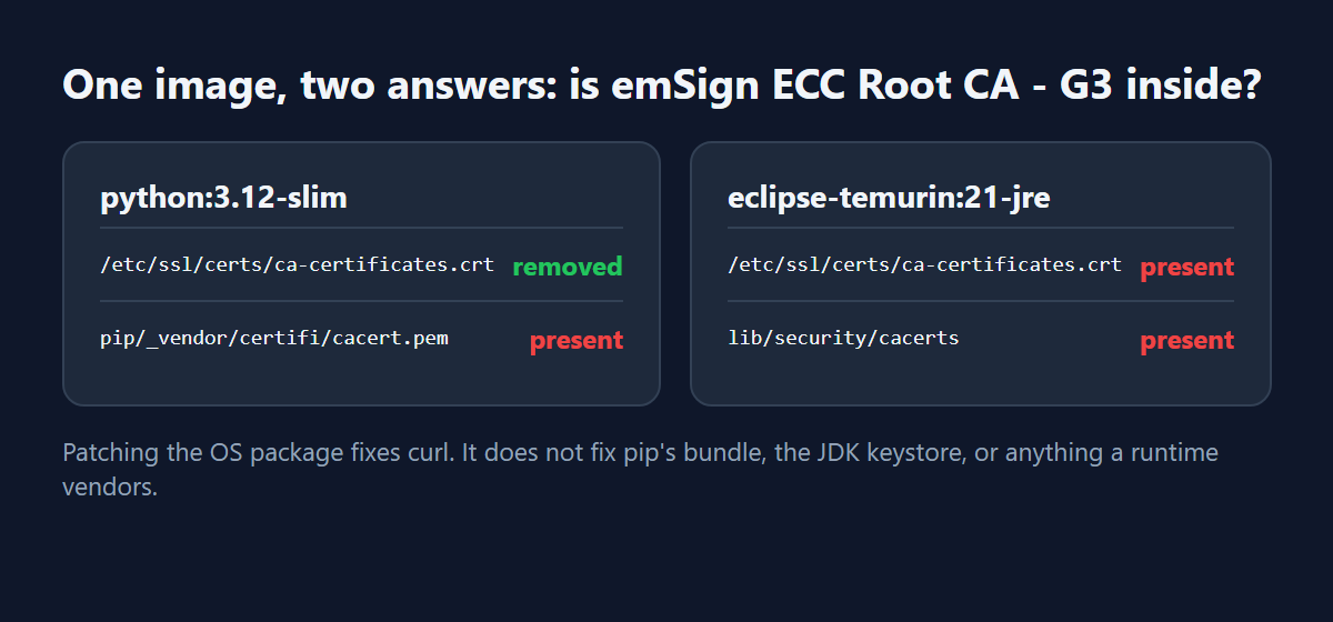 Two cards: python:3.12-slim has G3 removed from the system bundle but present in pip's certifi; eclipse-temurin:21-jre has G3 in both the system bundle and the JDK cacerts.