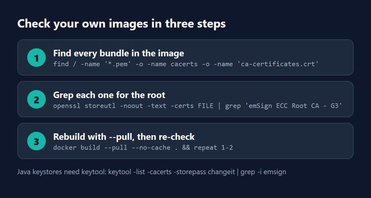 Three steps: find every bundle in the image, grep each one for emSign ECC Root CA - G3, rebuild with --pull and re-check.